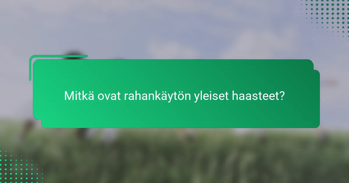 Mitkä ovat rahankäytön yleiset haasteet?