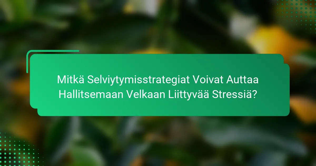 Mitkä Selviytymisstrategiat Voivat Auttaa Hallitsemaan Velkaan Liittyvää Stressiä?